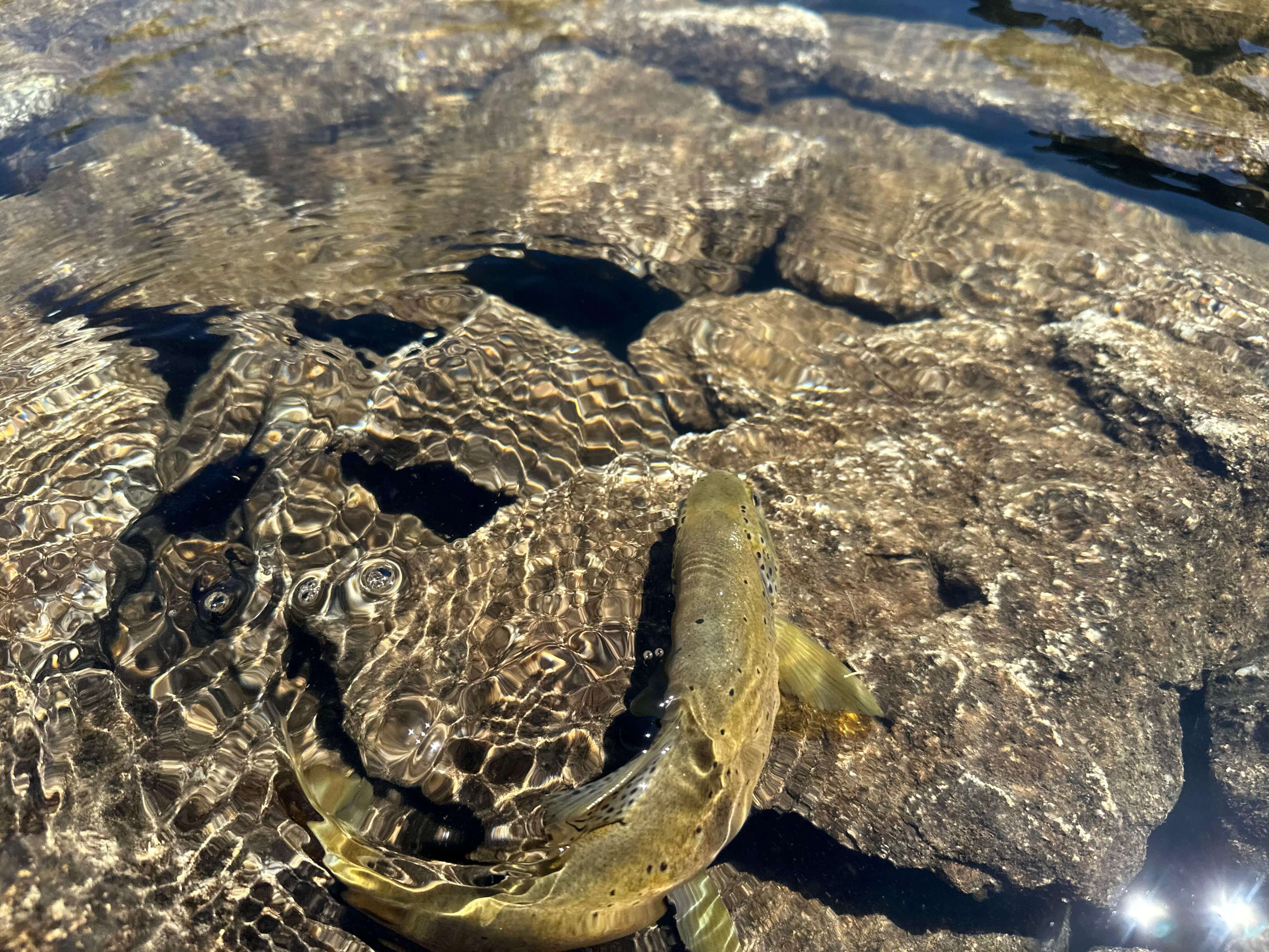 Romanesque church near Barruera with Pyrenees peaks in the background