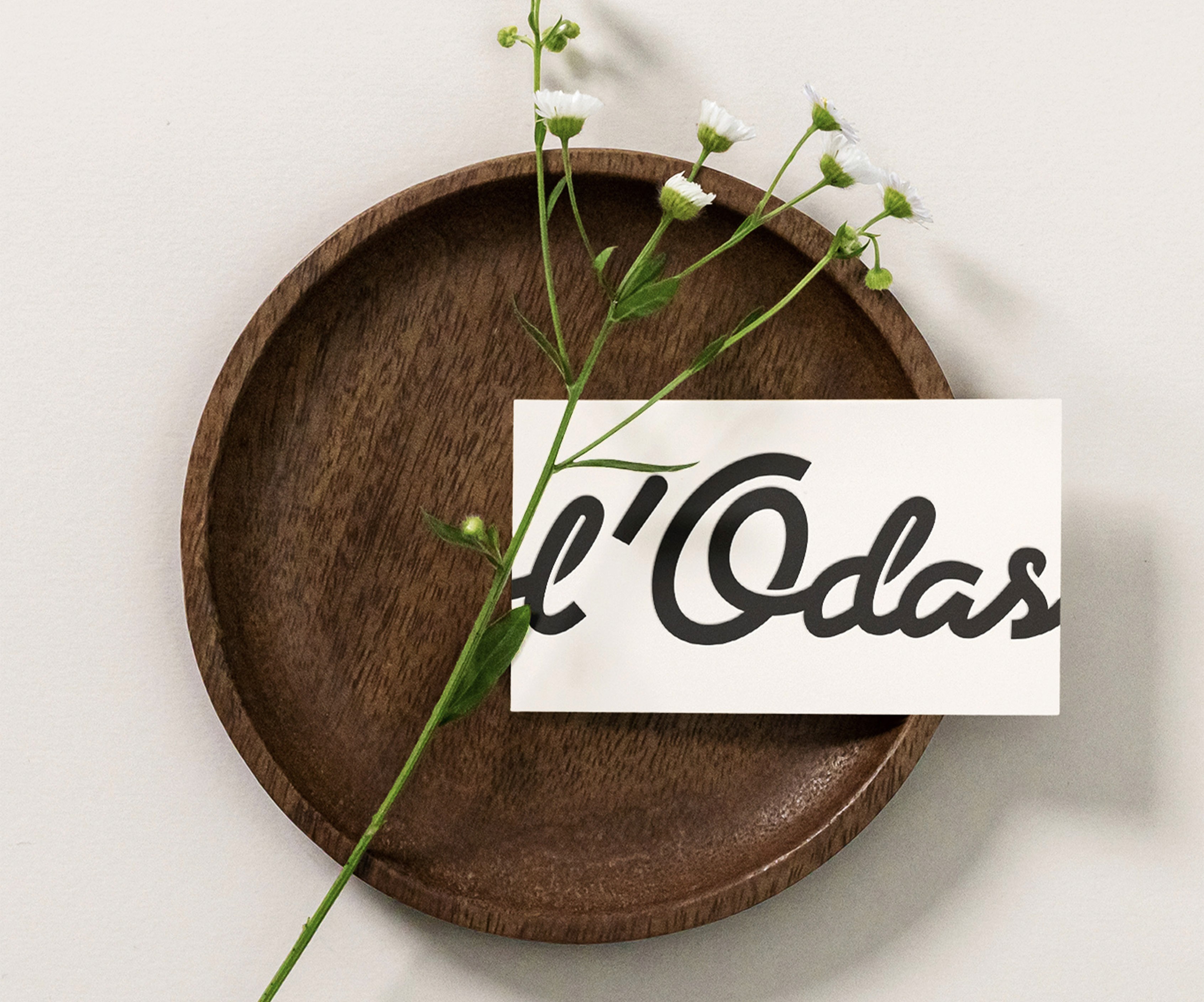 carte de visite de lodas PEC LE MANS