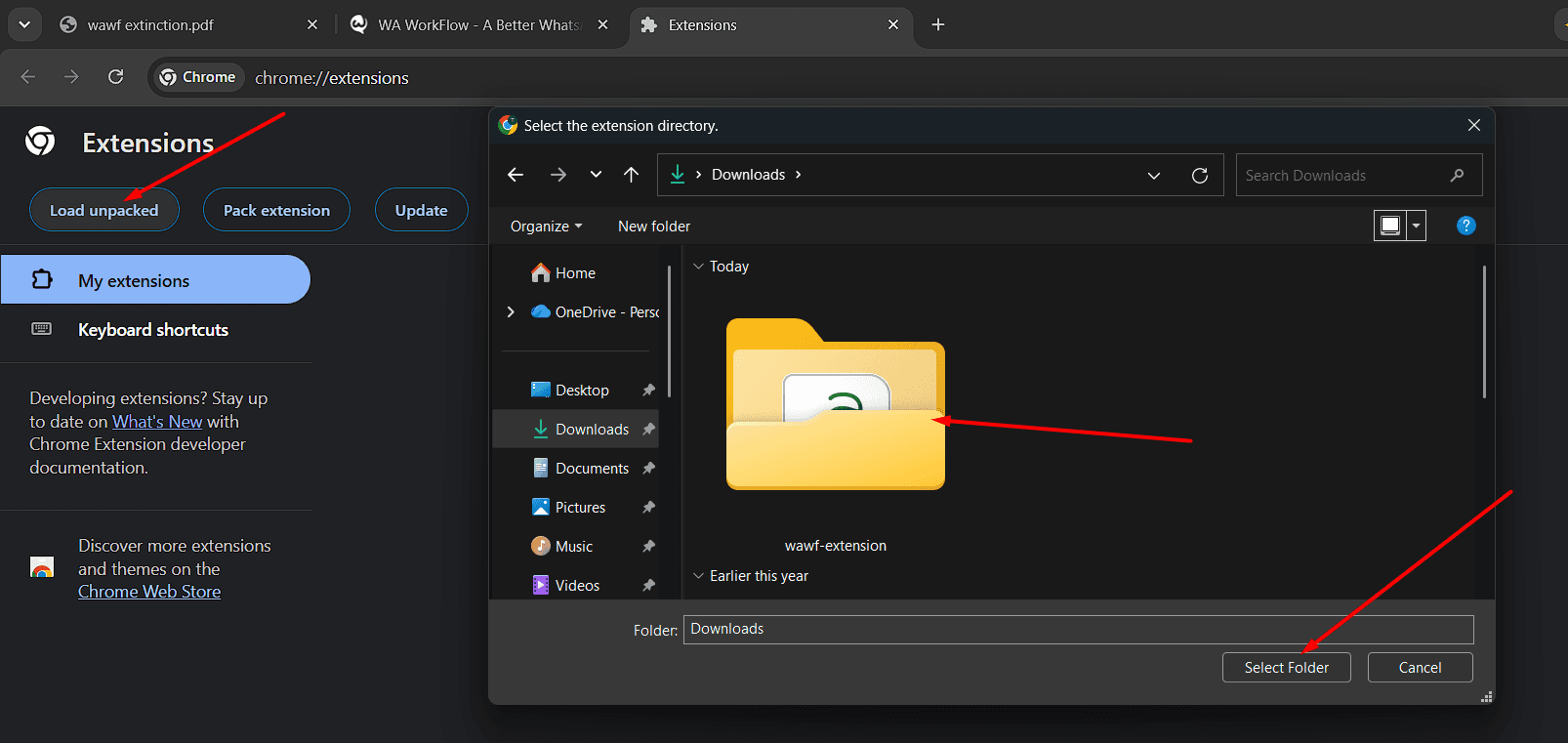 Load the Extension Folder