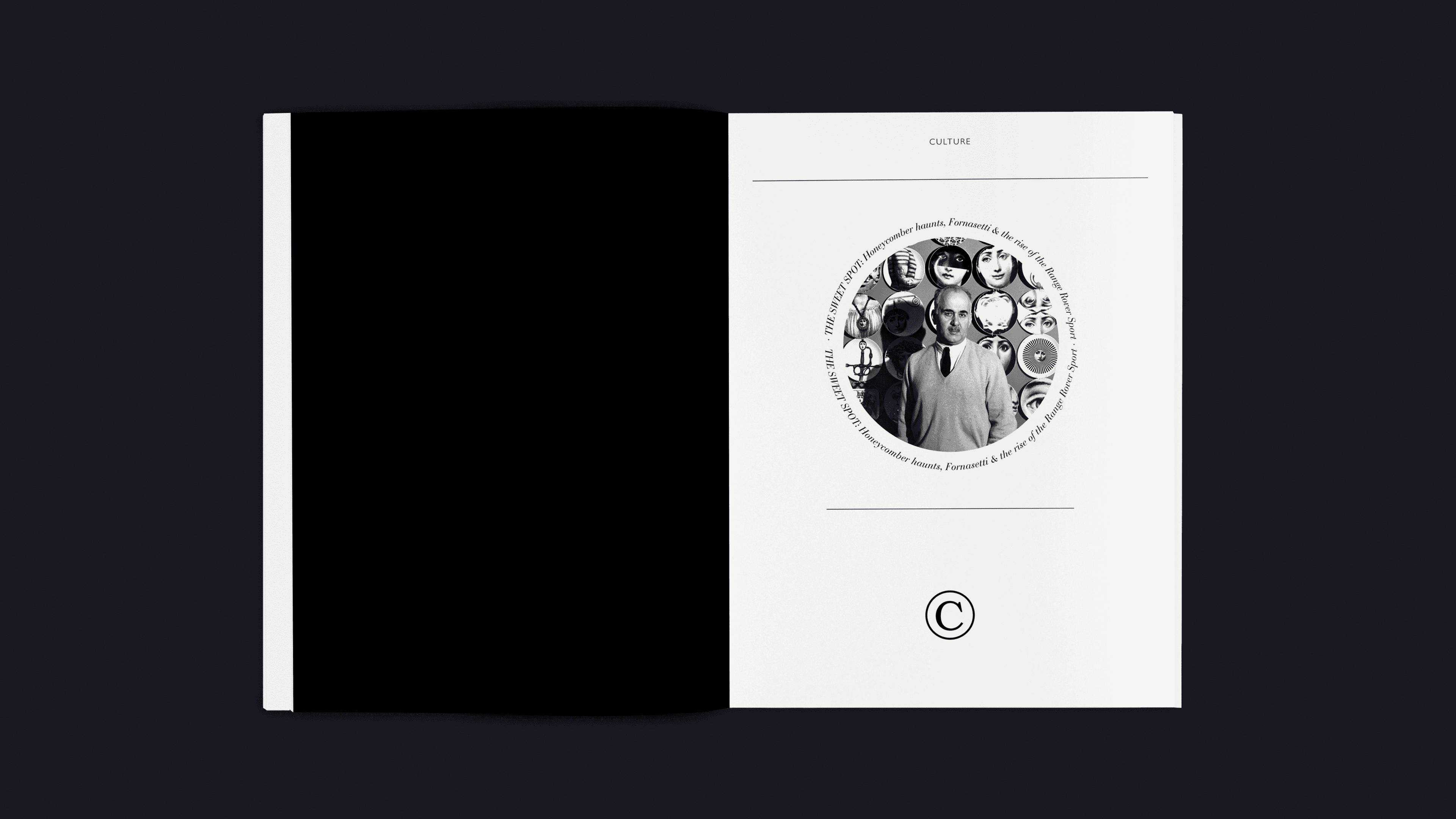 Section opening for Designare Femme, utilizing bold type and sophisticated white space.