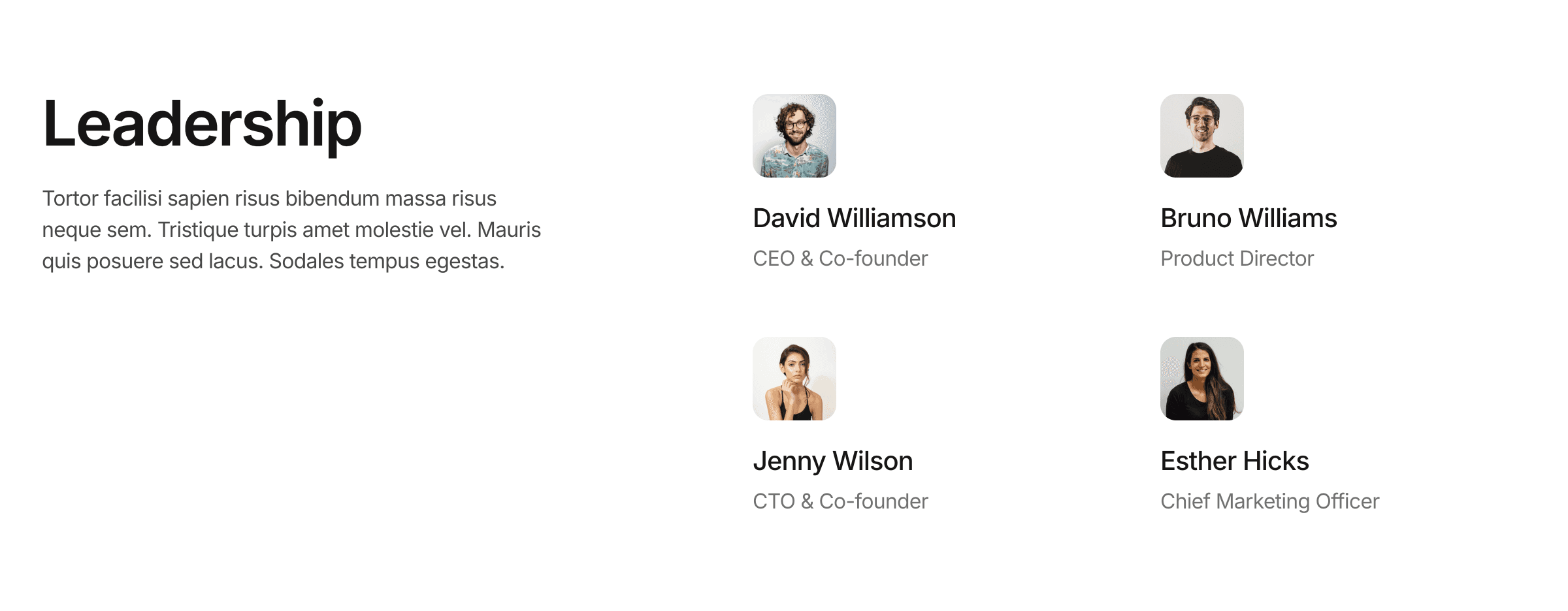 Team Component / 015