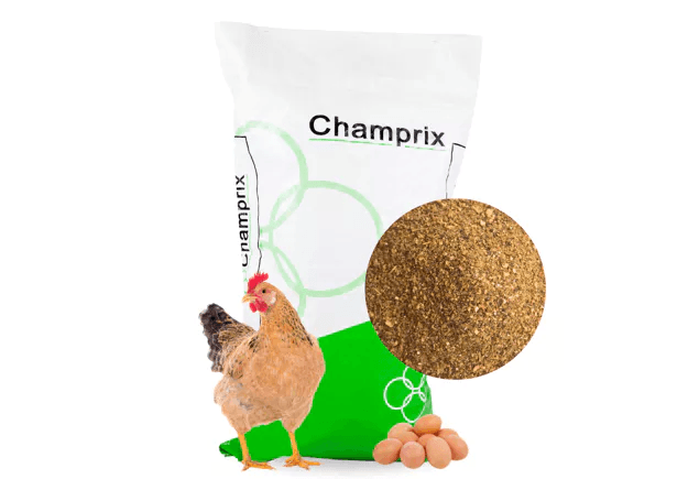 Champrix Concentre Pondeuse 5%