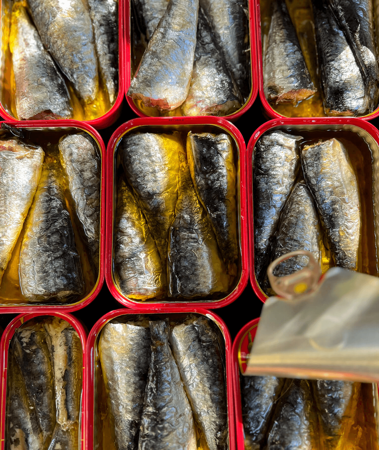 Boîtes de sardines ouvertes Connétable, photo campagne publicitaire