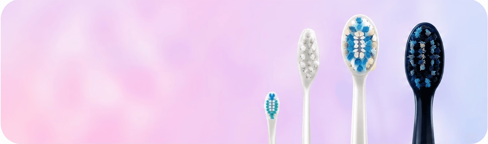 Sonic Toothbrush
