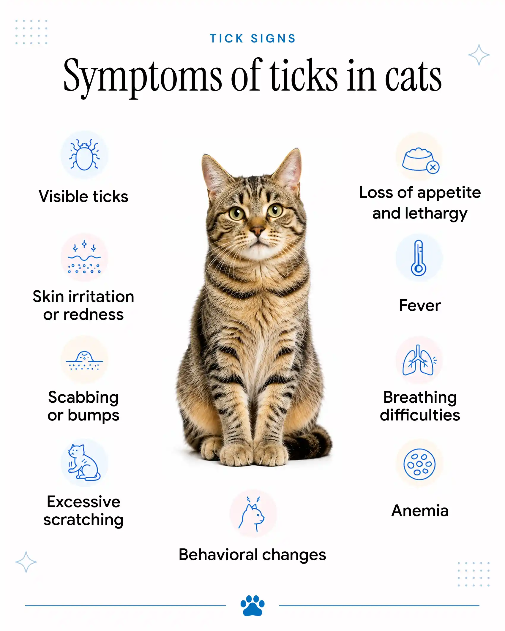 An infographic showing the signs of ticks in cats.