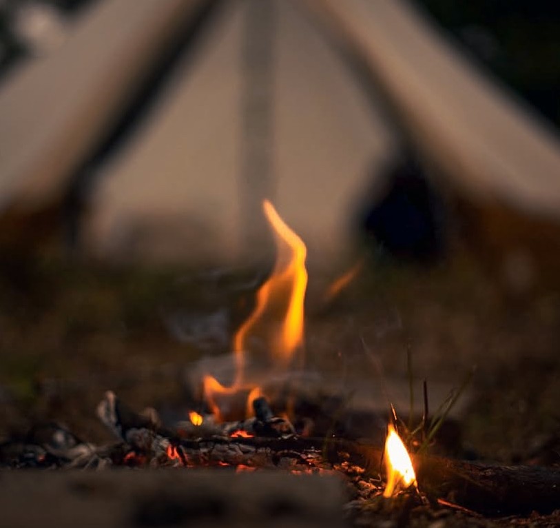 A beautifully decorated wedding cake featuring red and white roses.