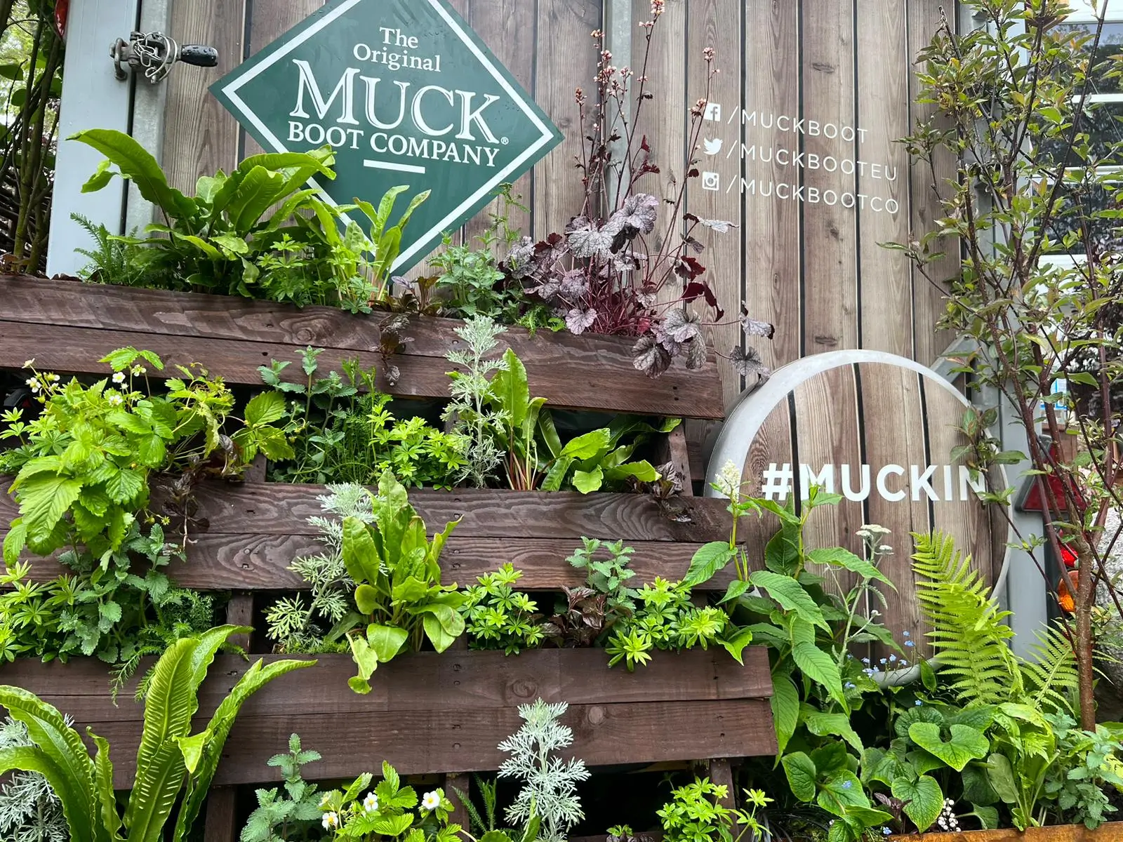 A wooden display stand adorned with various plants, featuring a sign that reads "Mia's."