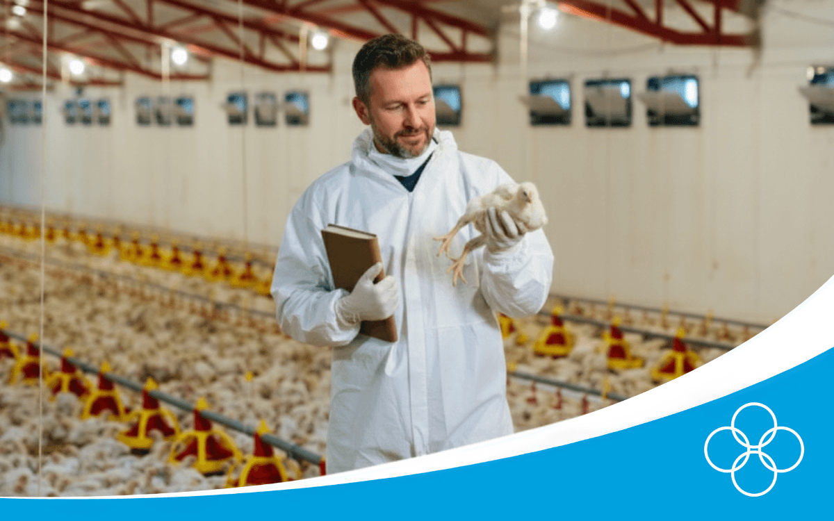 Champrix advisor holding a broiler