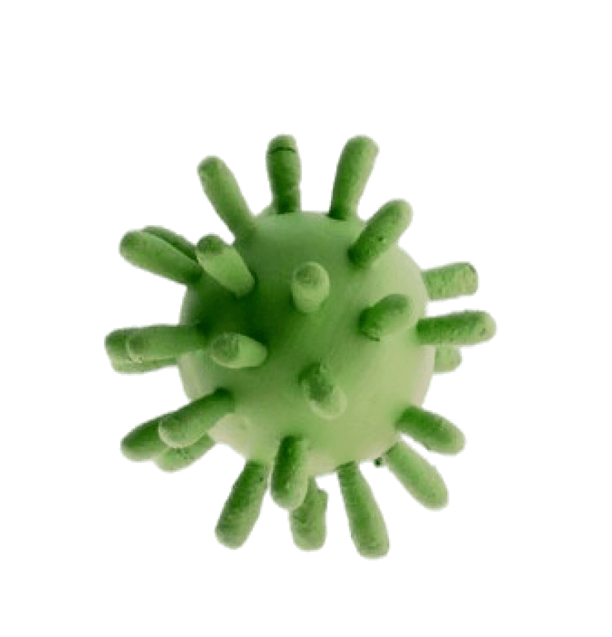 Virus image