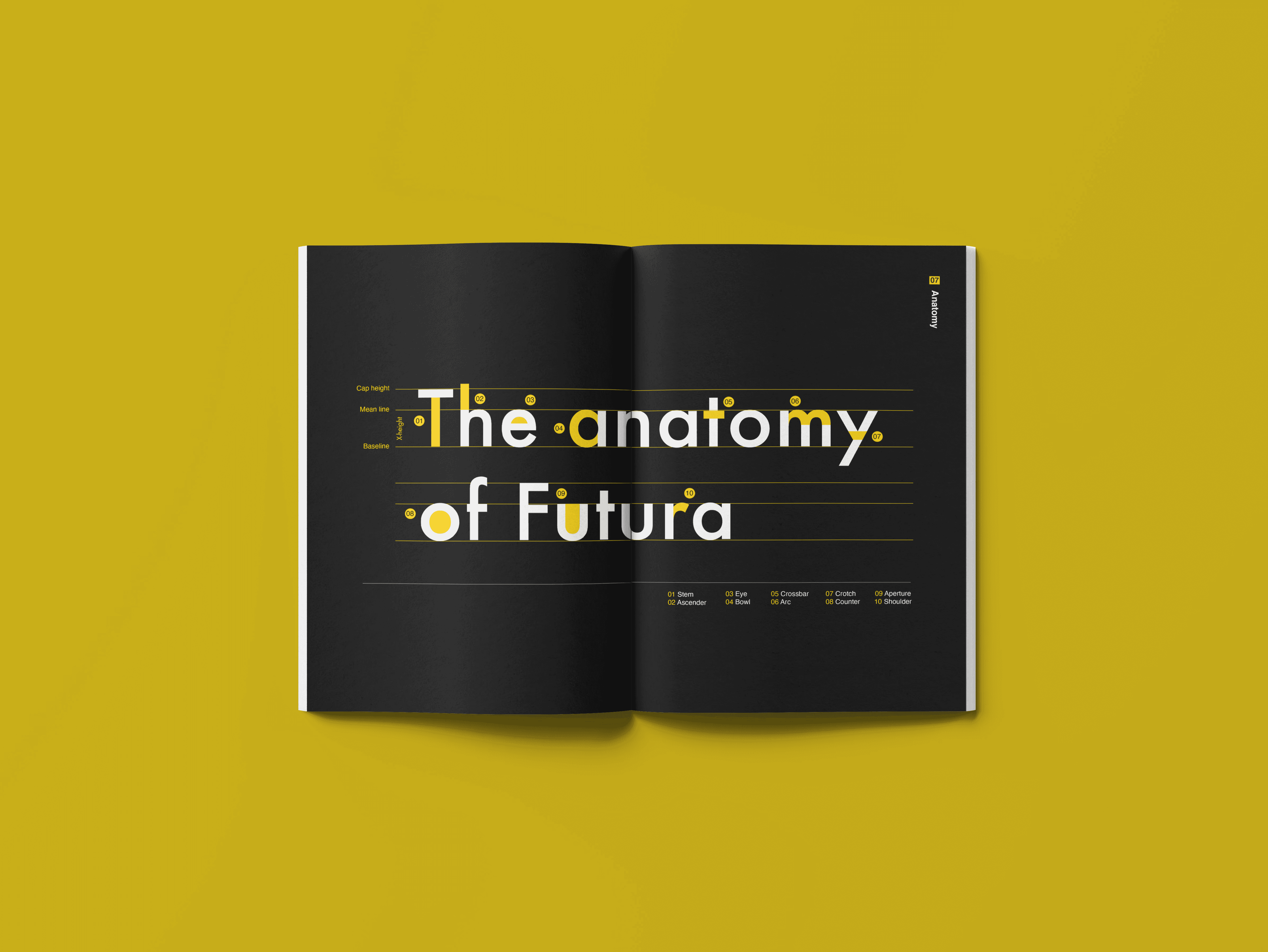 Abstract 3d rendering