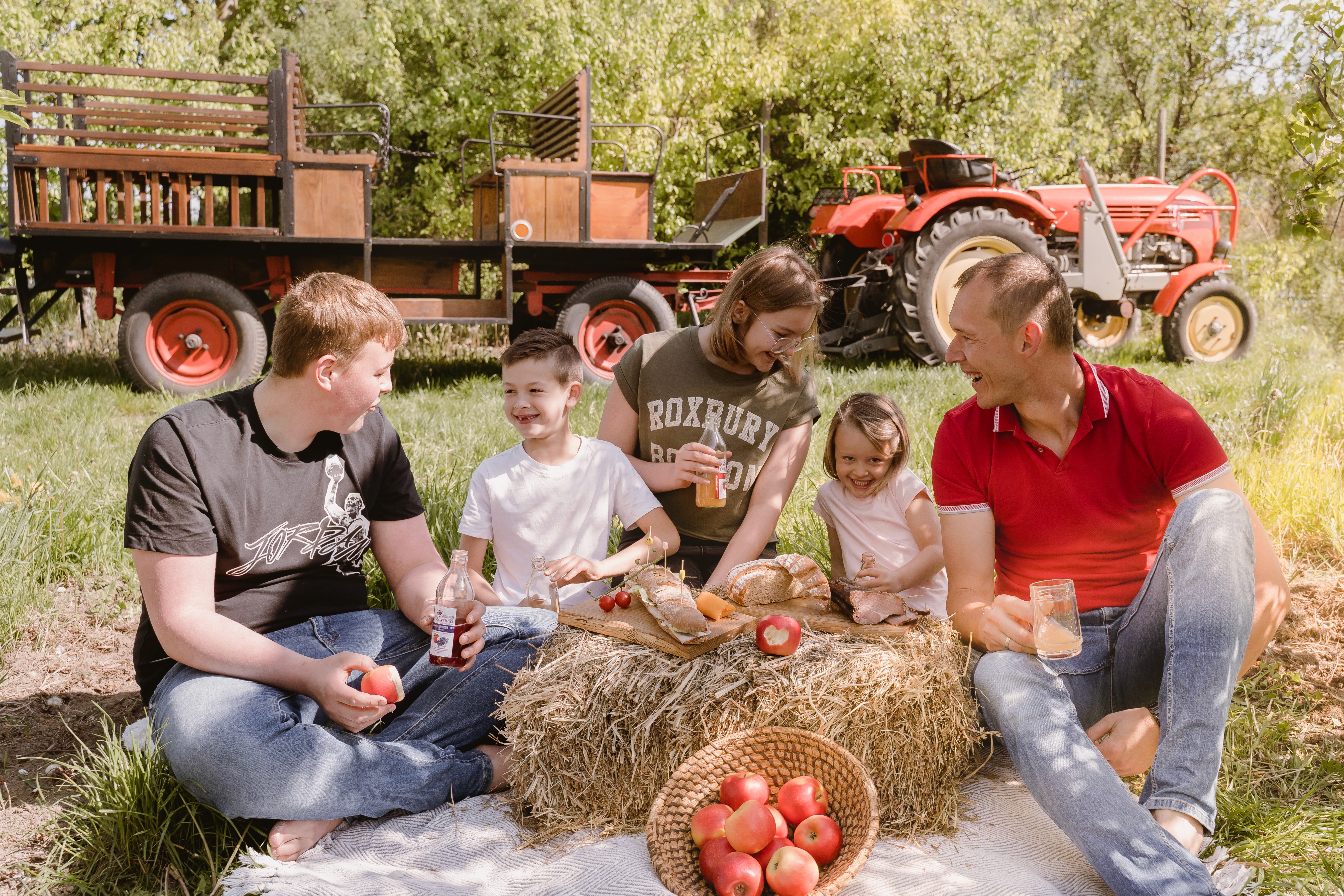 Close-up of seedling sprouts emerging from soil trays at Florent Garden nursery