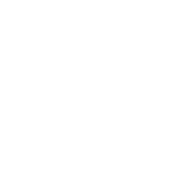 Record search