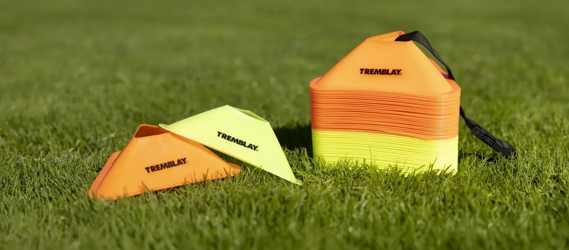 statistiques conversion b2b tremblay