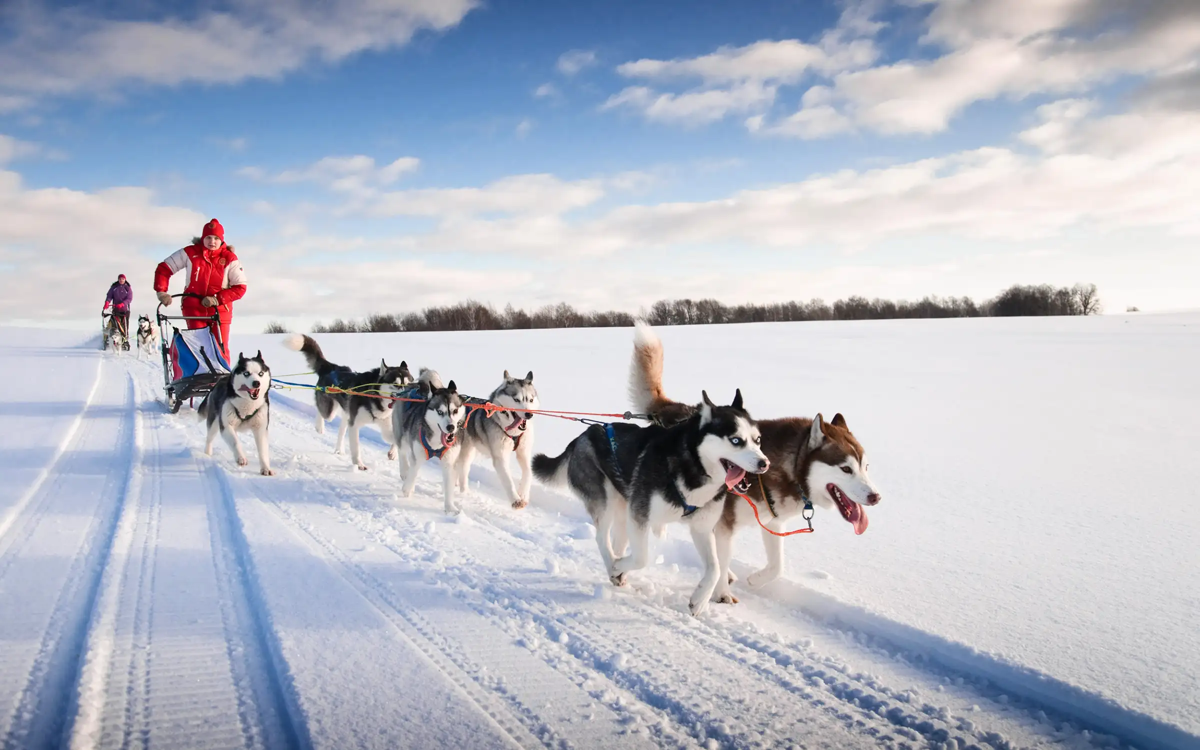Hundesledetur på Hardangervidda | Expa Travel
