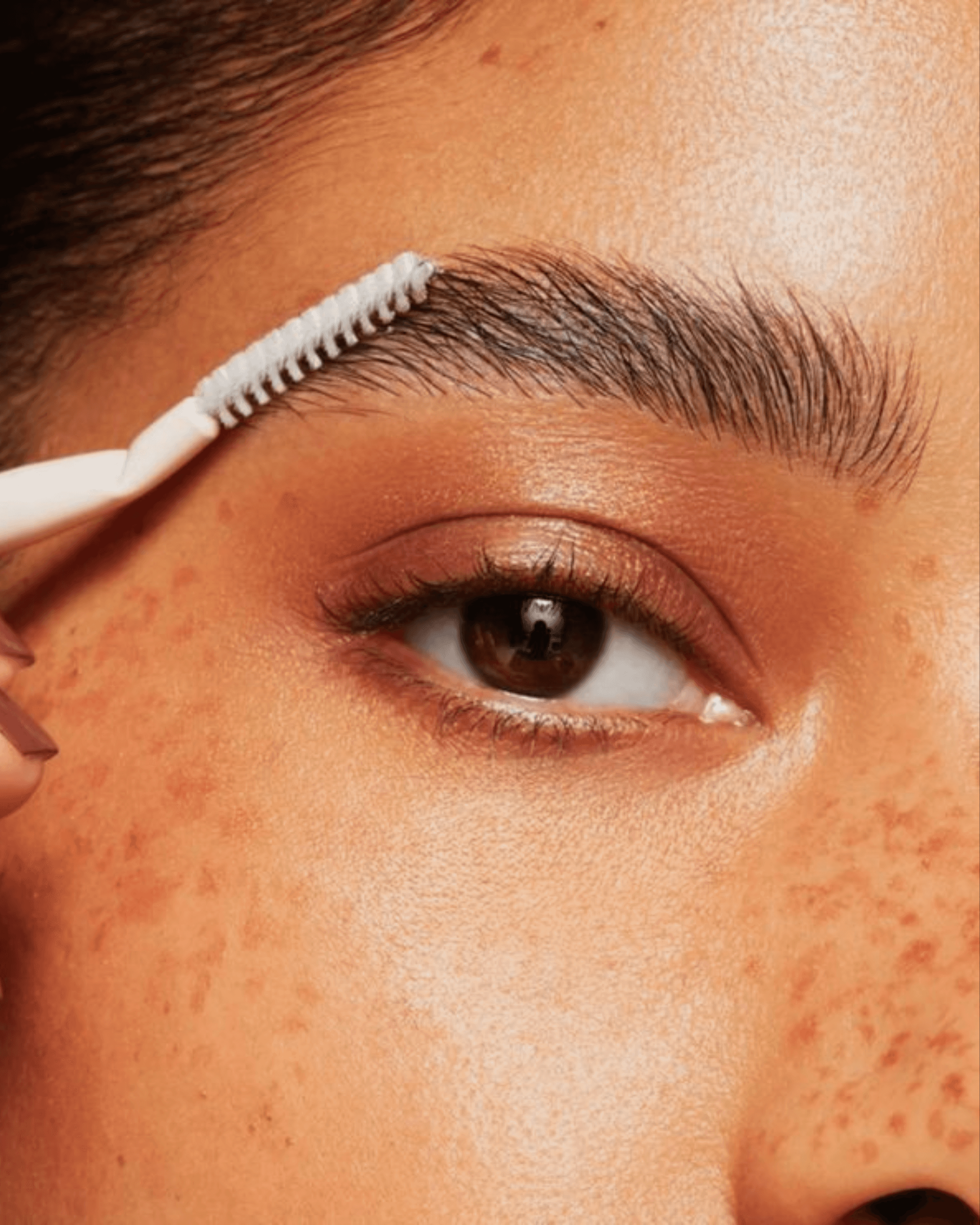 View of the French countryside through a stone villa’s open living room, with sofas and trees framing the scene