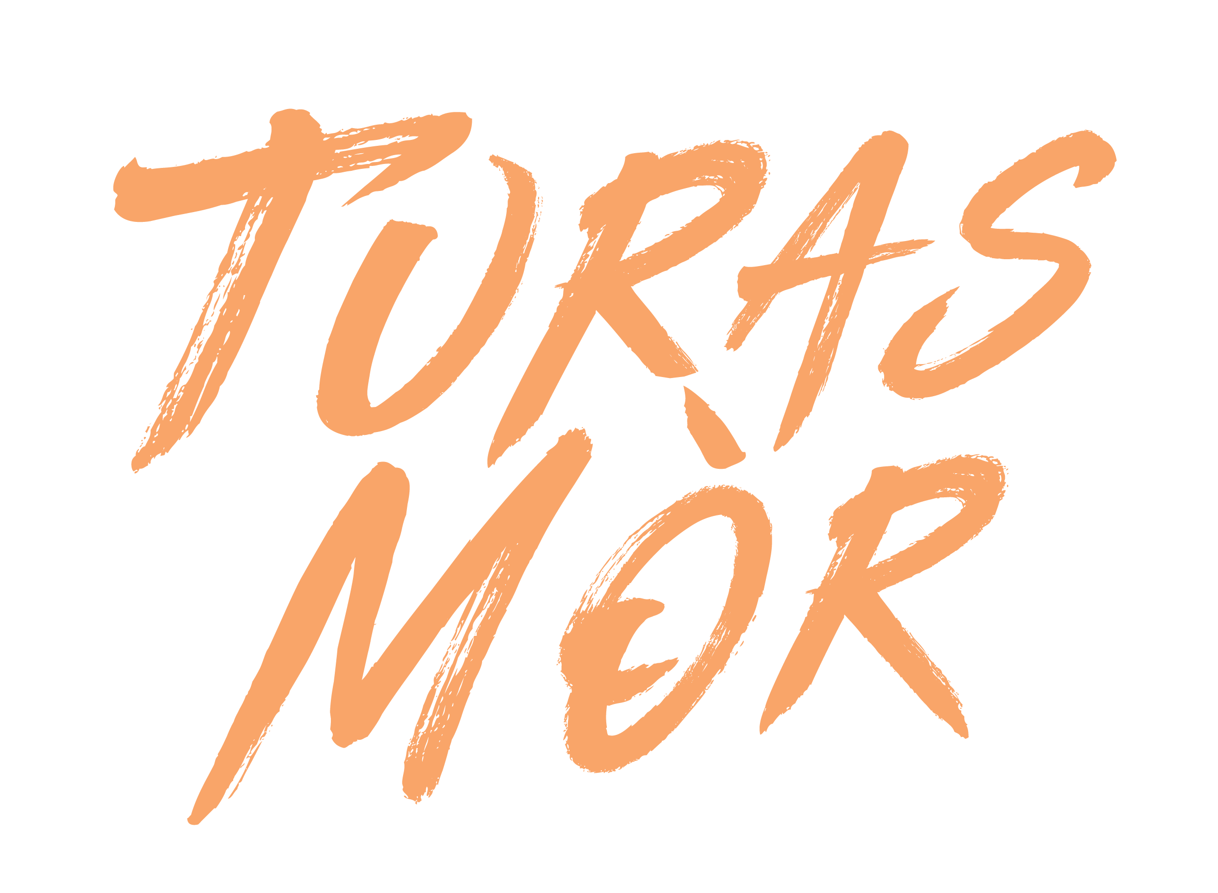 Turas Mor whisky brand identity and packaging design by S+Co