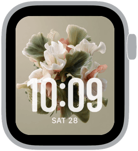 orchard static Apple Watch face preview 2 featuring floral, summer, and spring.
