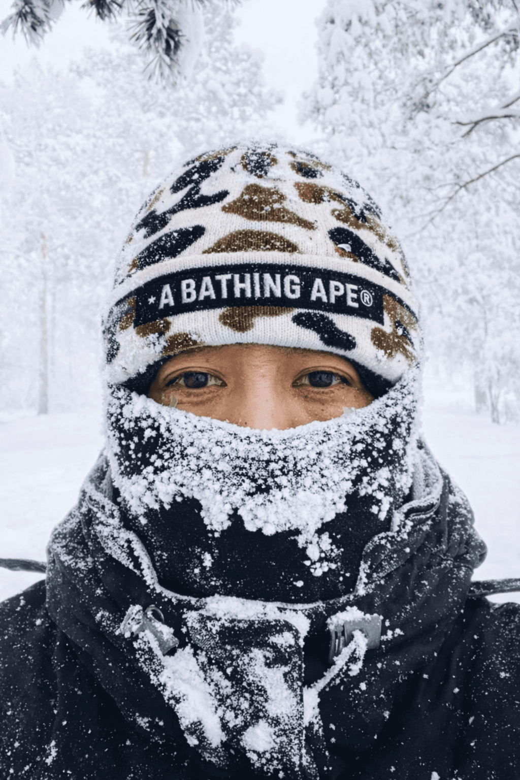 Portfolio project image