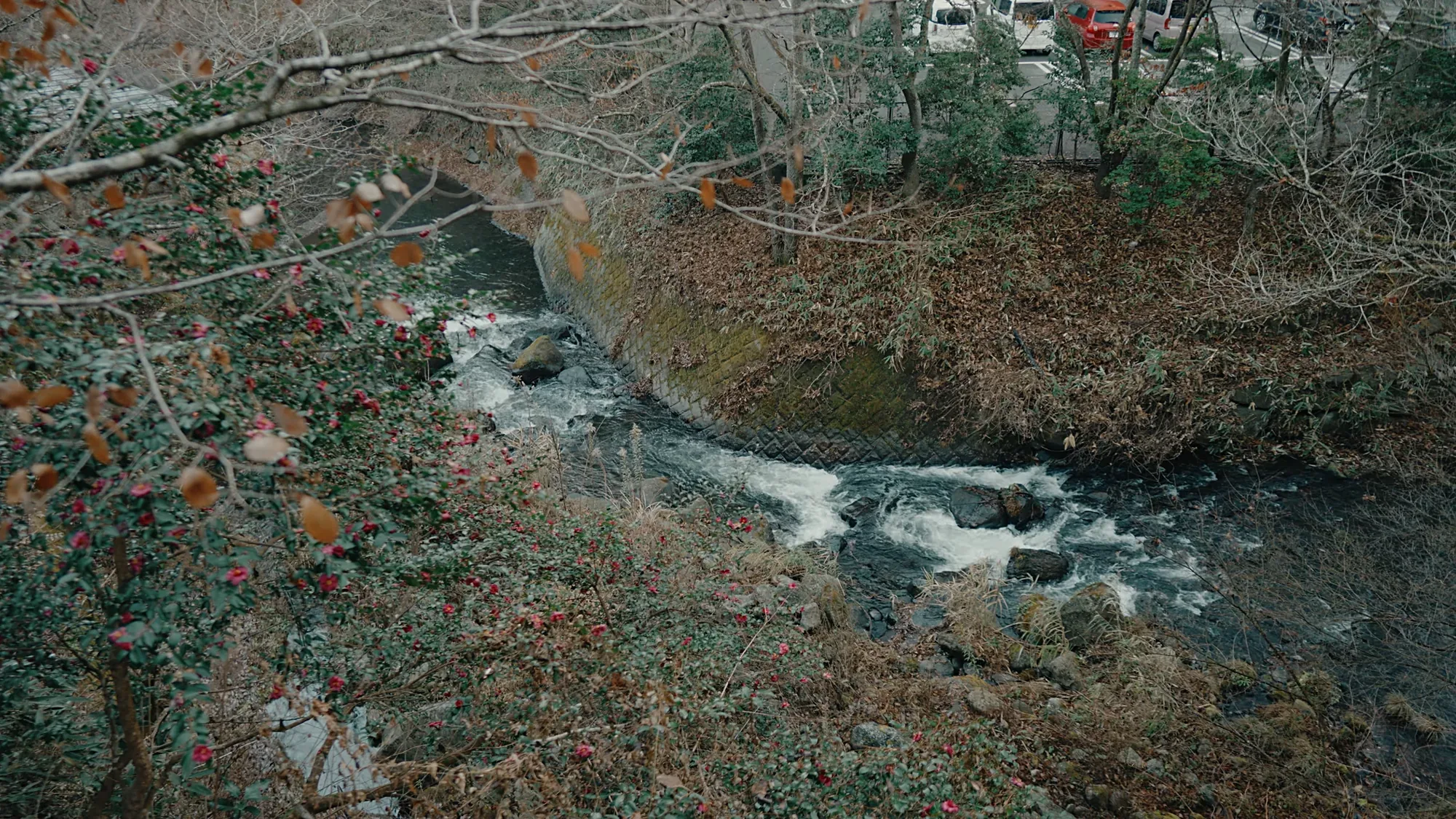 Aerial view of the river cutting through winter scrub at Kurokawa Onsen
