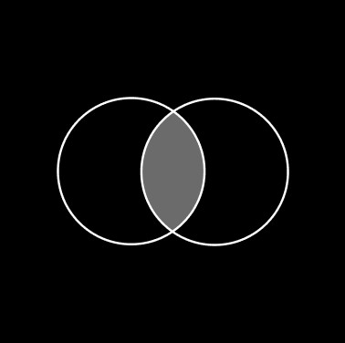 starfish studio - flexible support