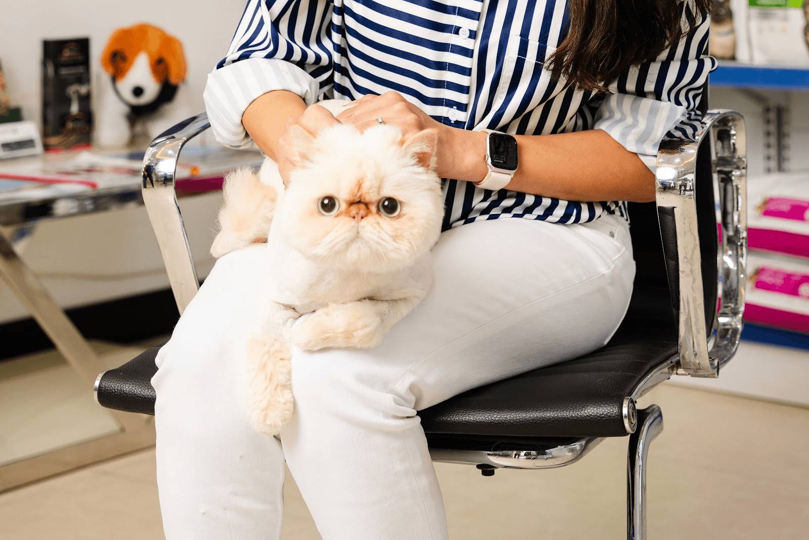 Tip 2: Transition to Weight-Management Cat Food