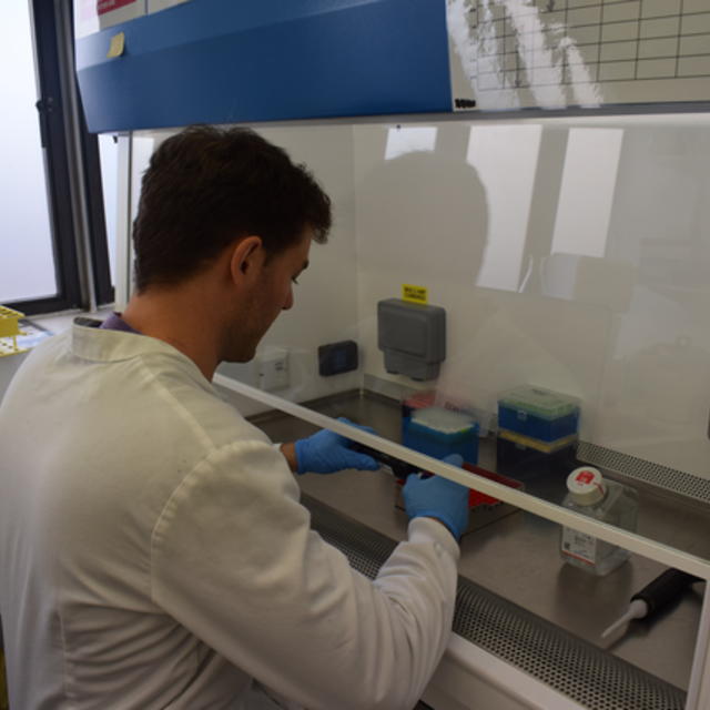 Scientist working in lab