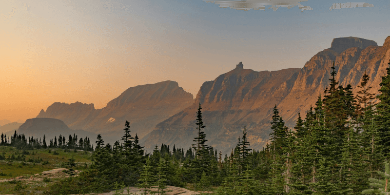 How to Become a Process Server in Montana