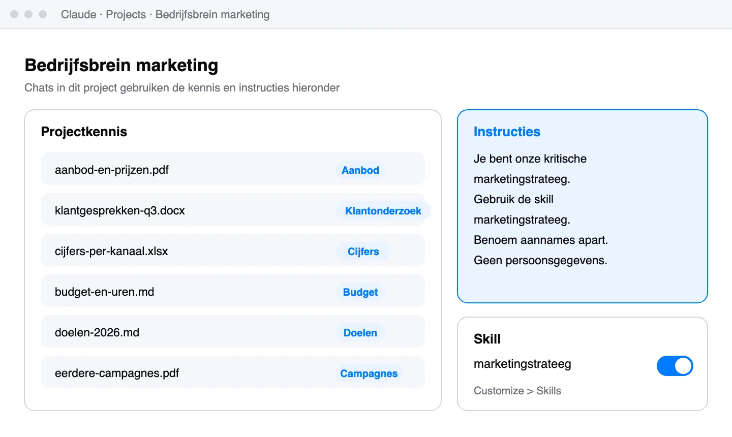 Schematische weergave: Een project als bedrijfsbrein: bestanden in de projectkennis, vaste instructies en de skill aan.