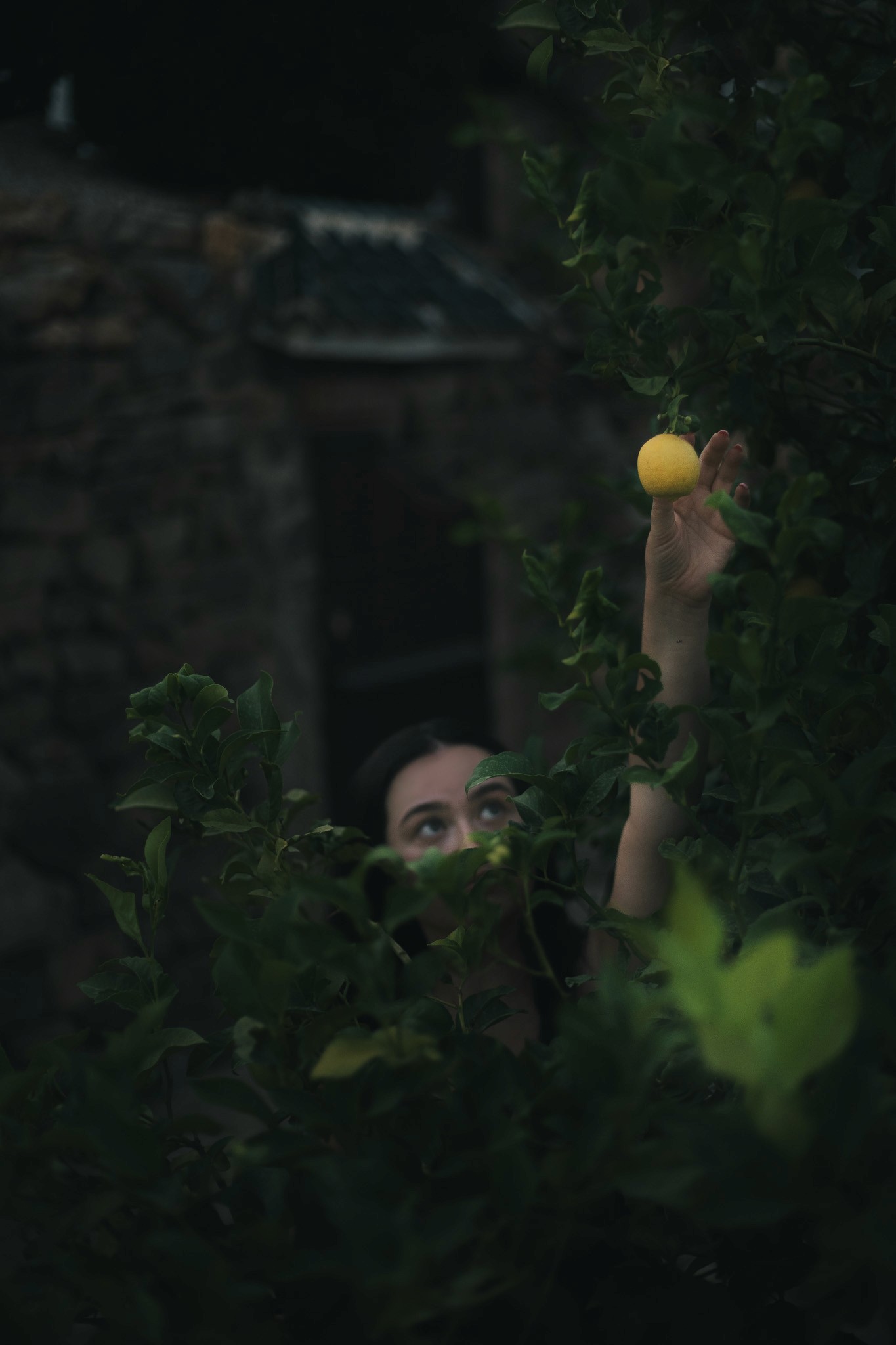 The image featured at the bottom of the about us page