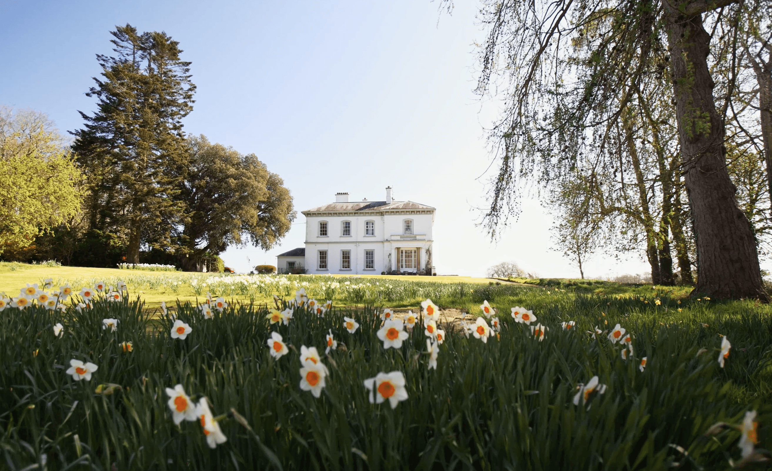 BP Lawn