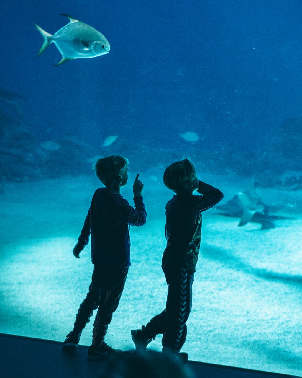 Blue Planet Aquarium Copenhagen