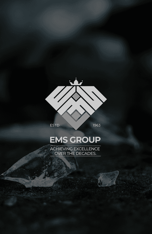Brand identity design for EMS Group — Penguincil Design