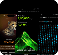 Daily limit card showing $2,500 spent, representing 12.5% of the total limit