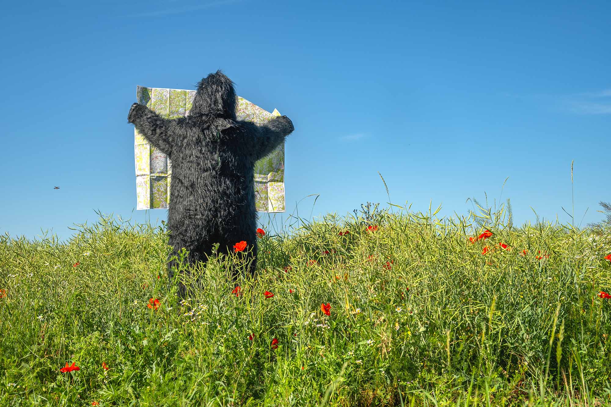 Greemp as bigfoot on his way for tour de france