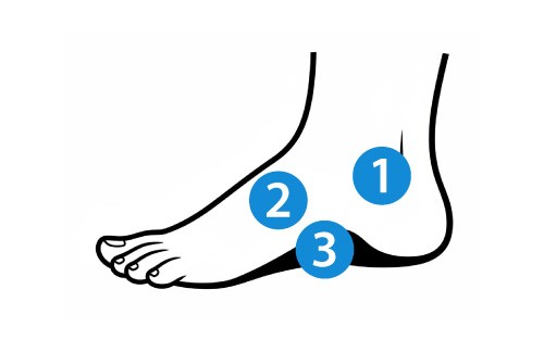 Side view of a foot vector graphic