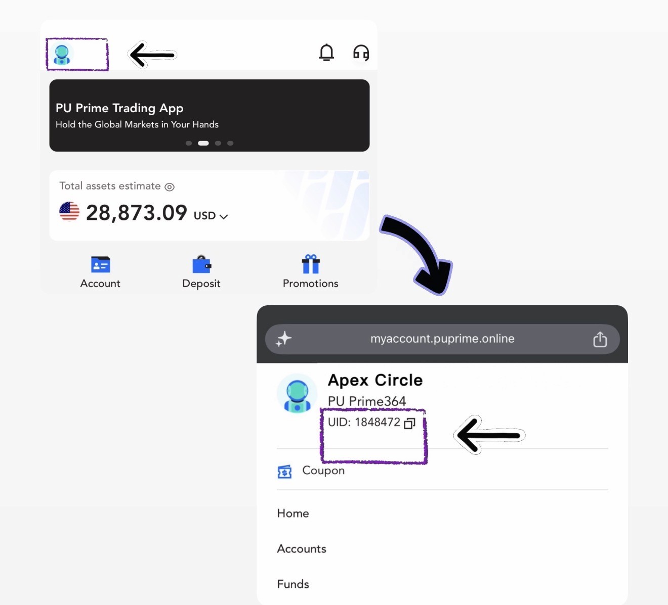 Apex Circle verification