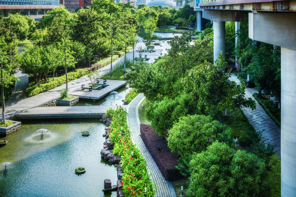 綠化工程：香港社區綠化景觀工程案例 / Hong Kong community greening project