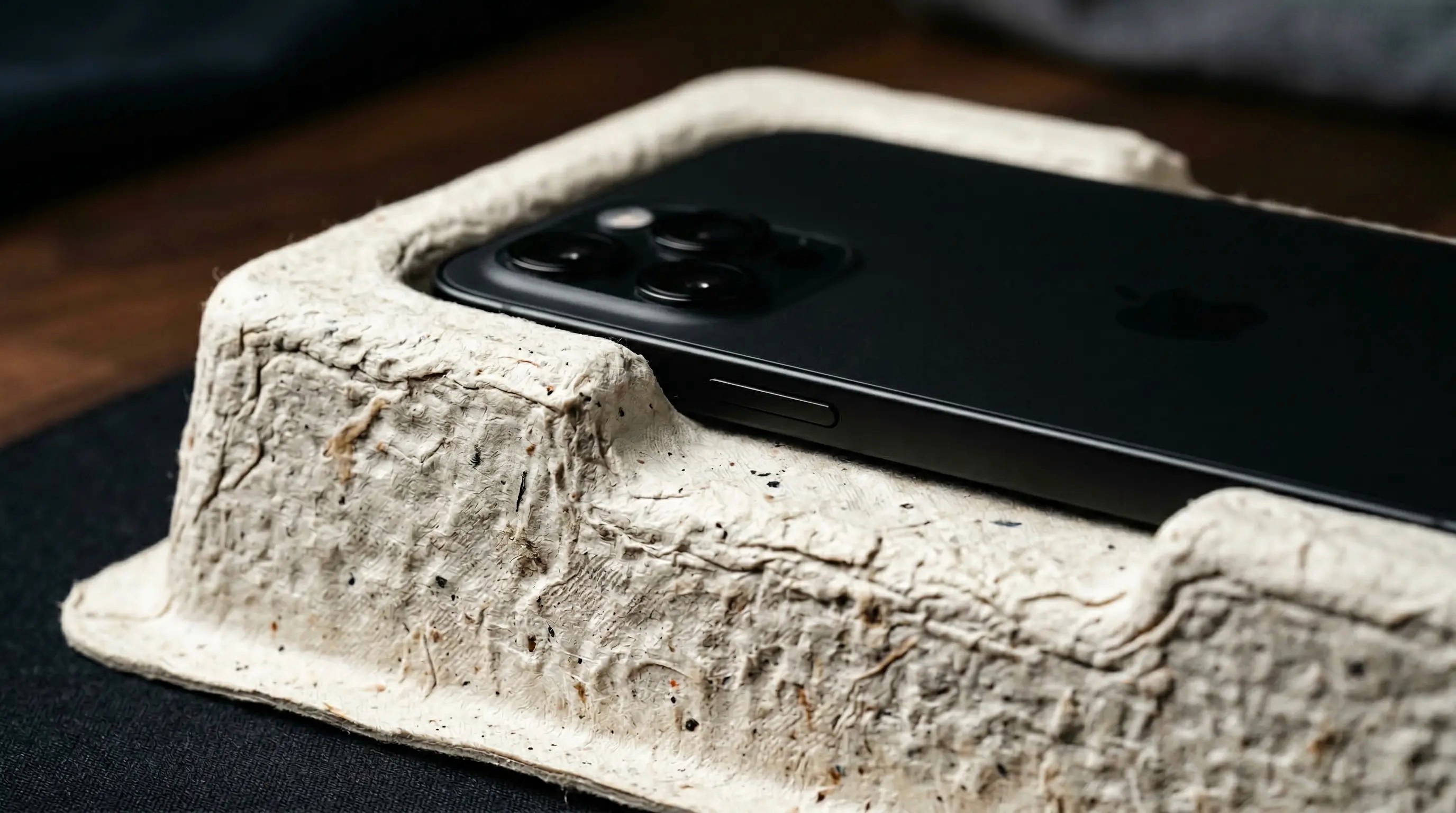 biodegradable-sugarcane-insert-launch