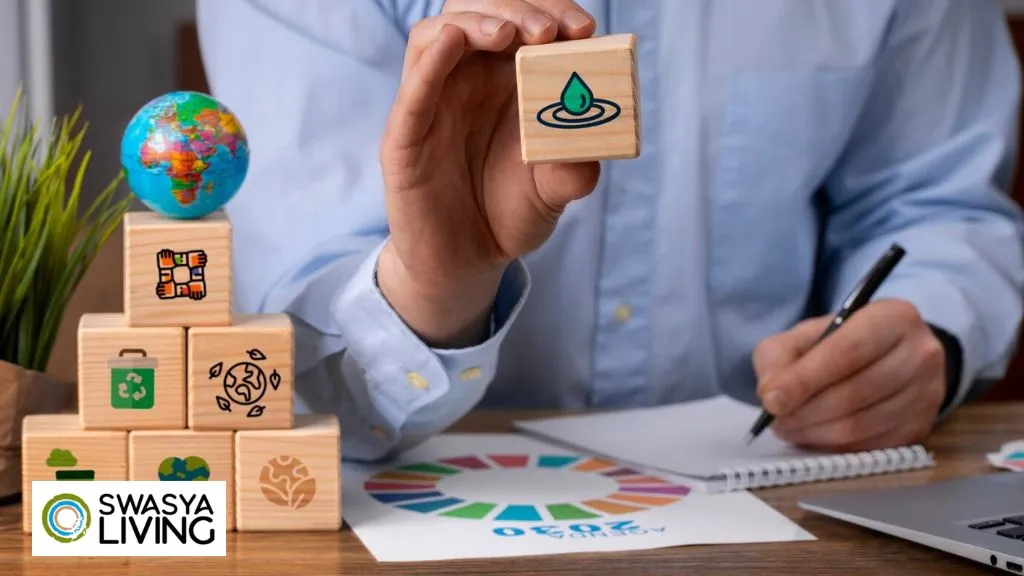 Strategies for Sustainable Development