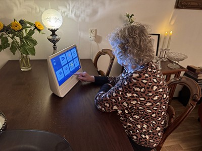Joshua tree in a desert landscape at sunset.