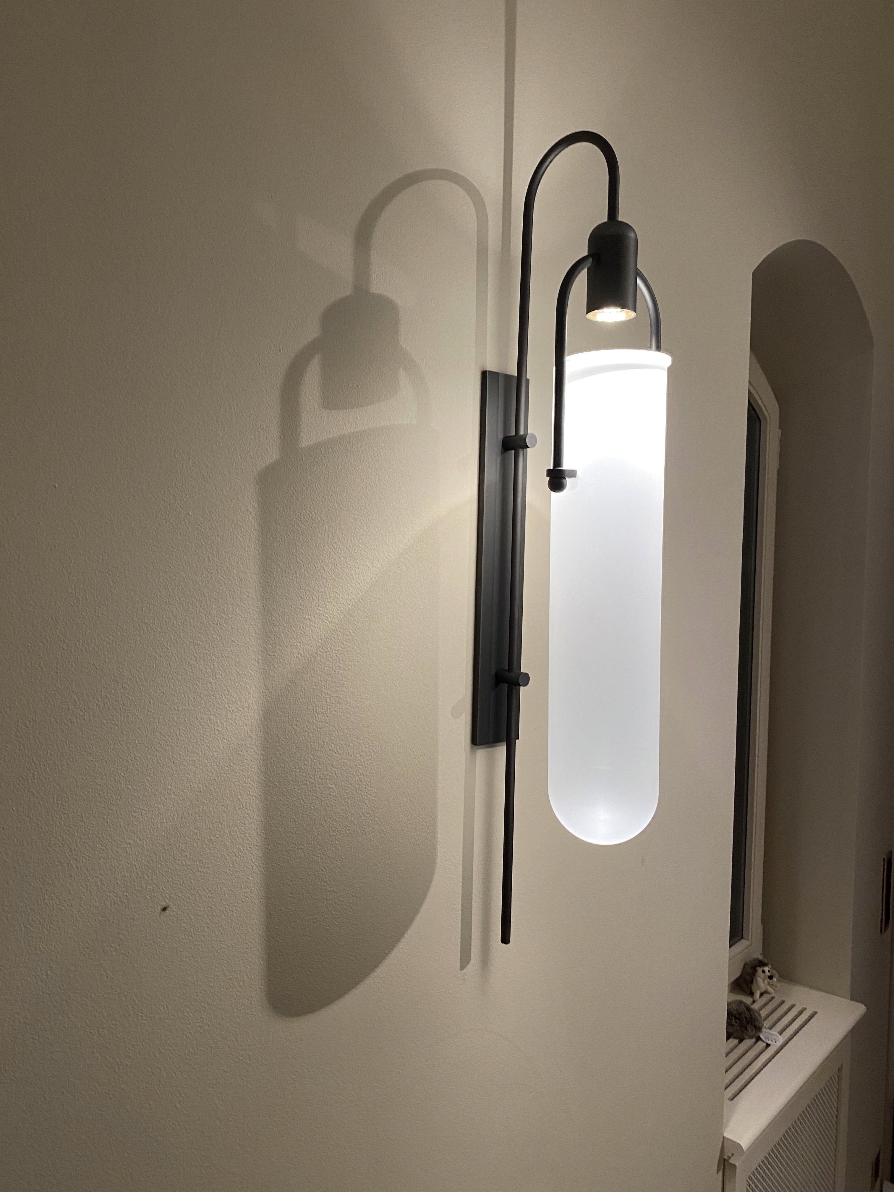 Wall-mounted light