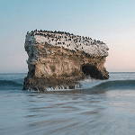 Atsiliepimas apie paslaugas