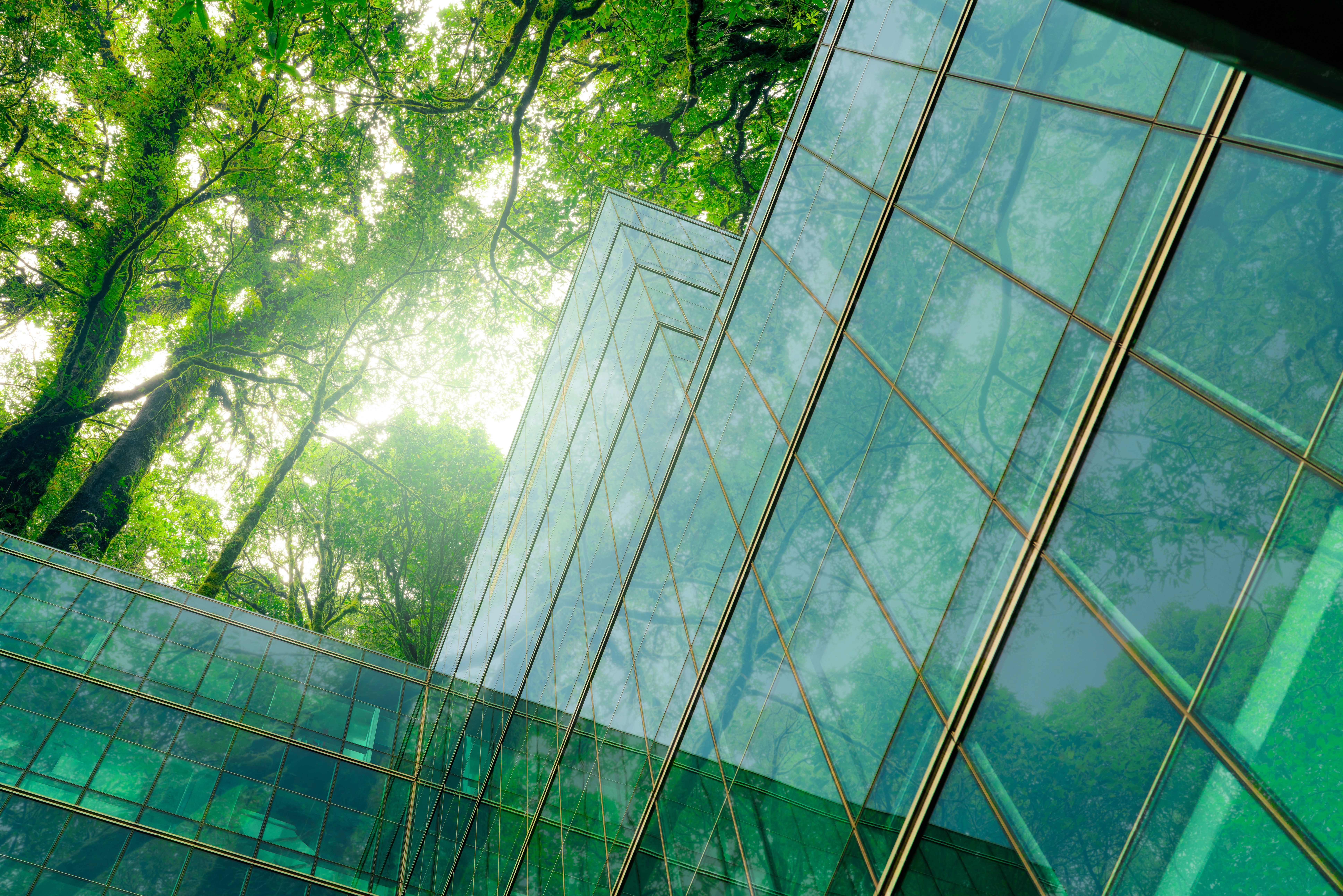 Eco friendly building modern city