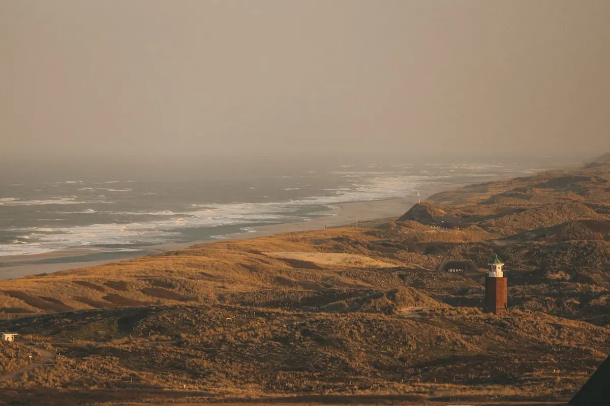 Smiling woman in a brown blazer against a warm orange background, exuding confidence and approachability.