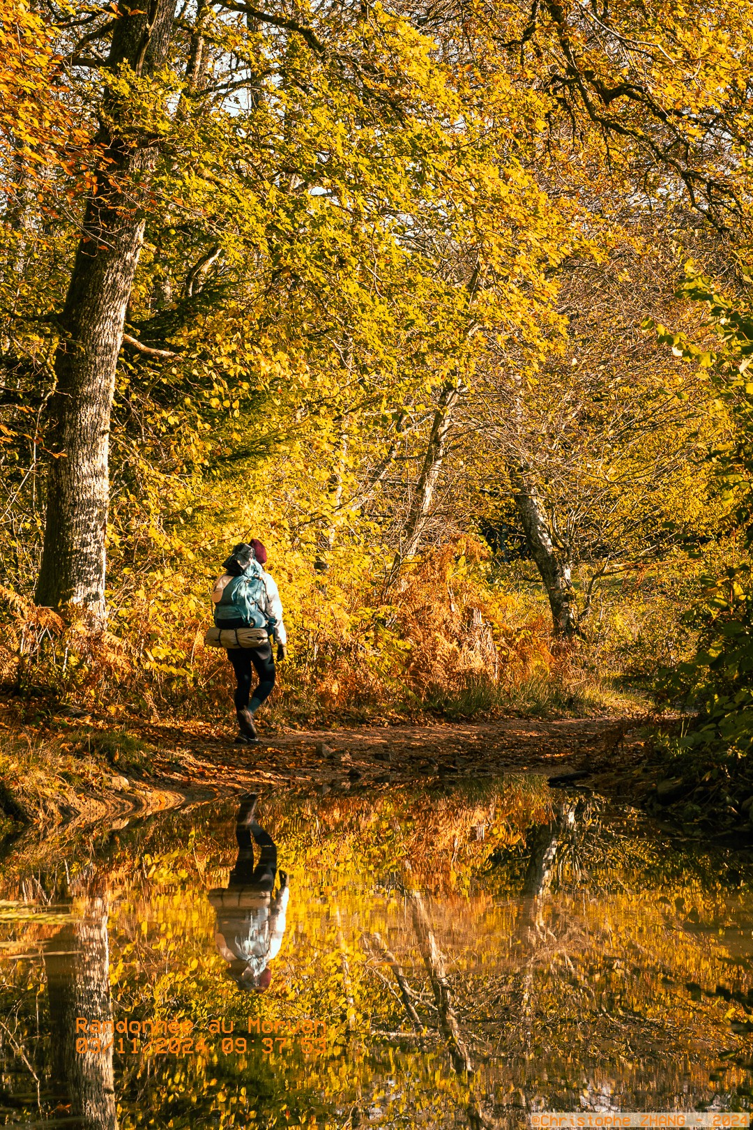 Randonneuse traversant une forêt aux couleurs d’automne, reflet visible dans une flaque d’eau.