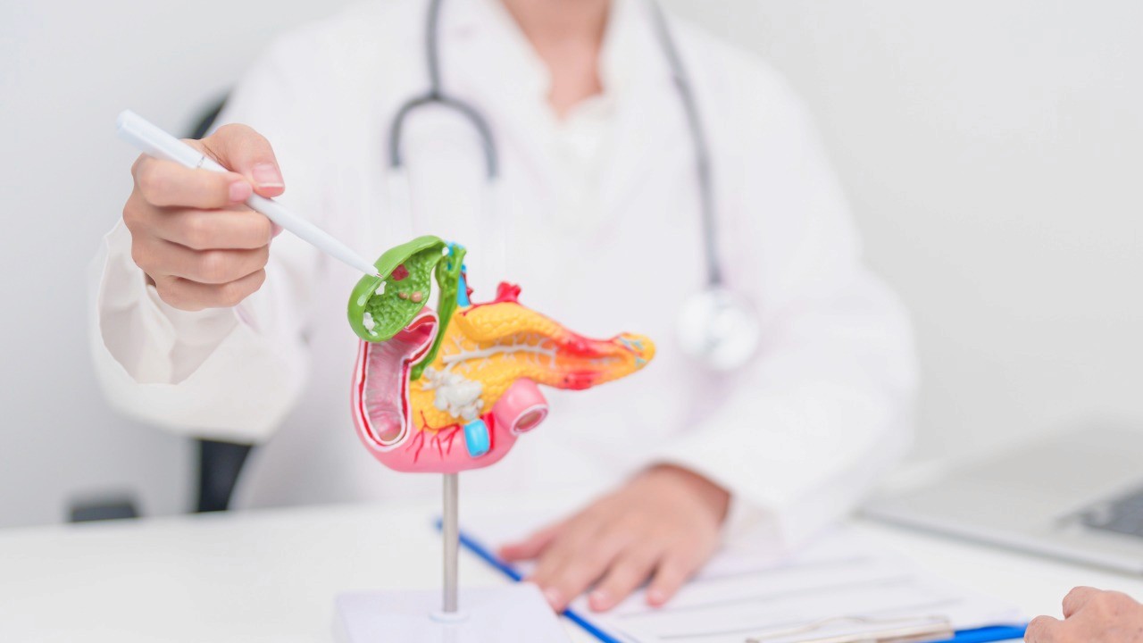 Doctor pointing to Pancrease Diagram
