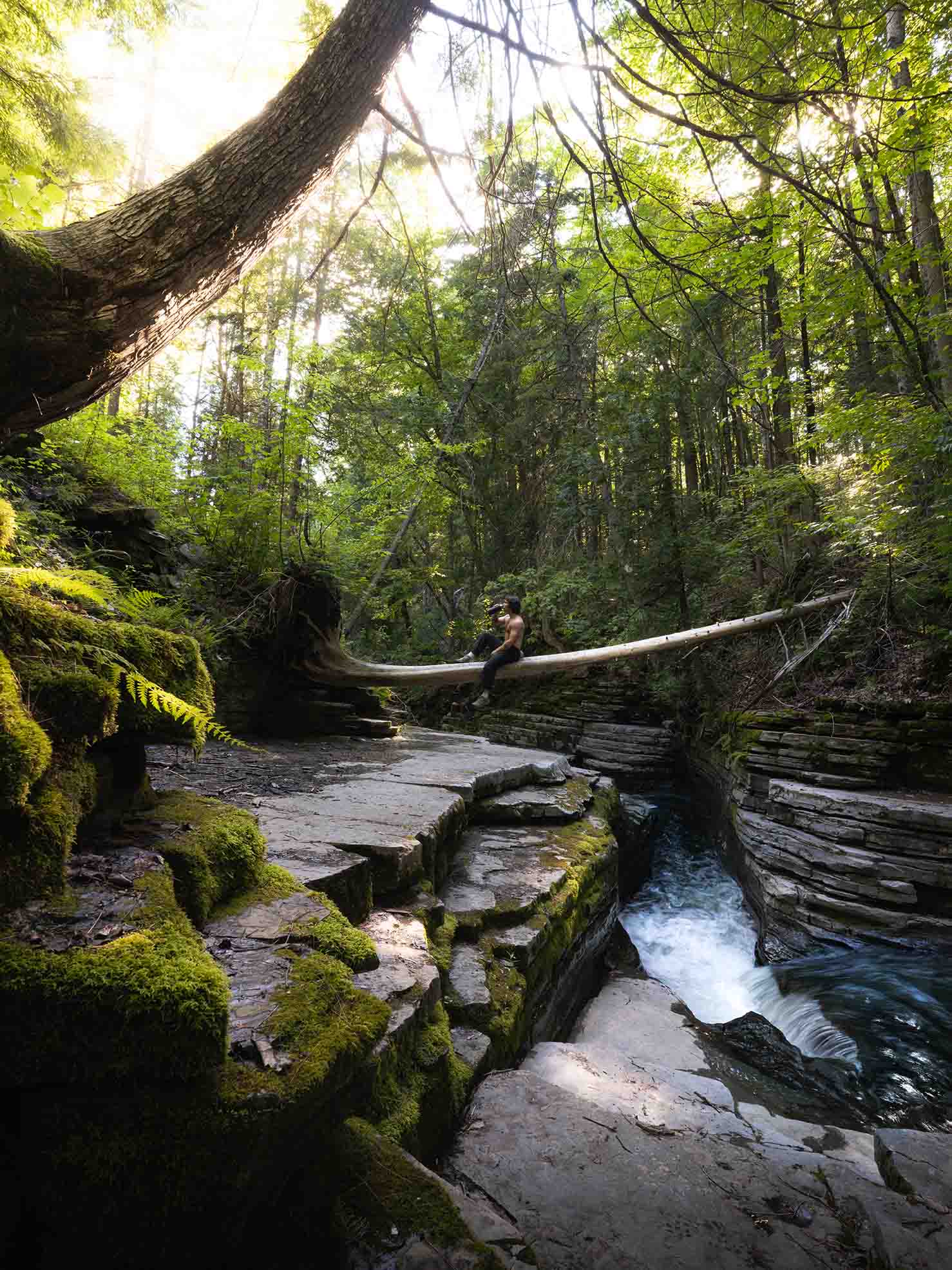 Man standing on a fallen tree over a waterfall in a mossy forest in Quebec, Canada.
