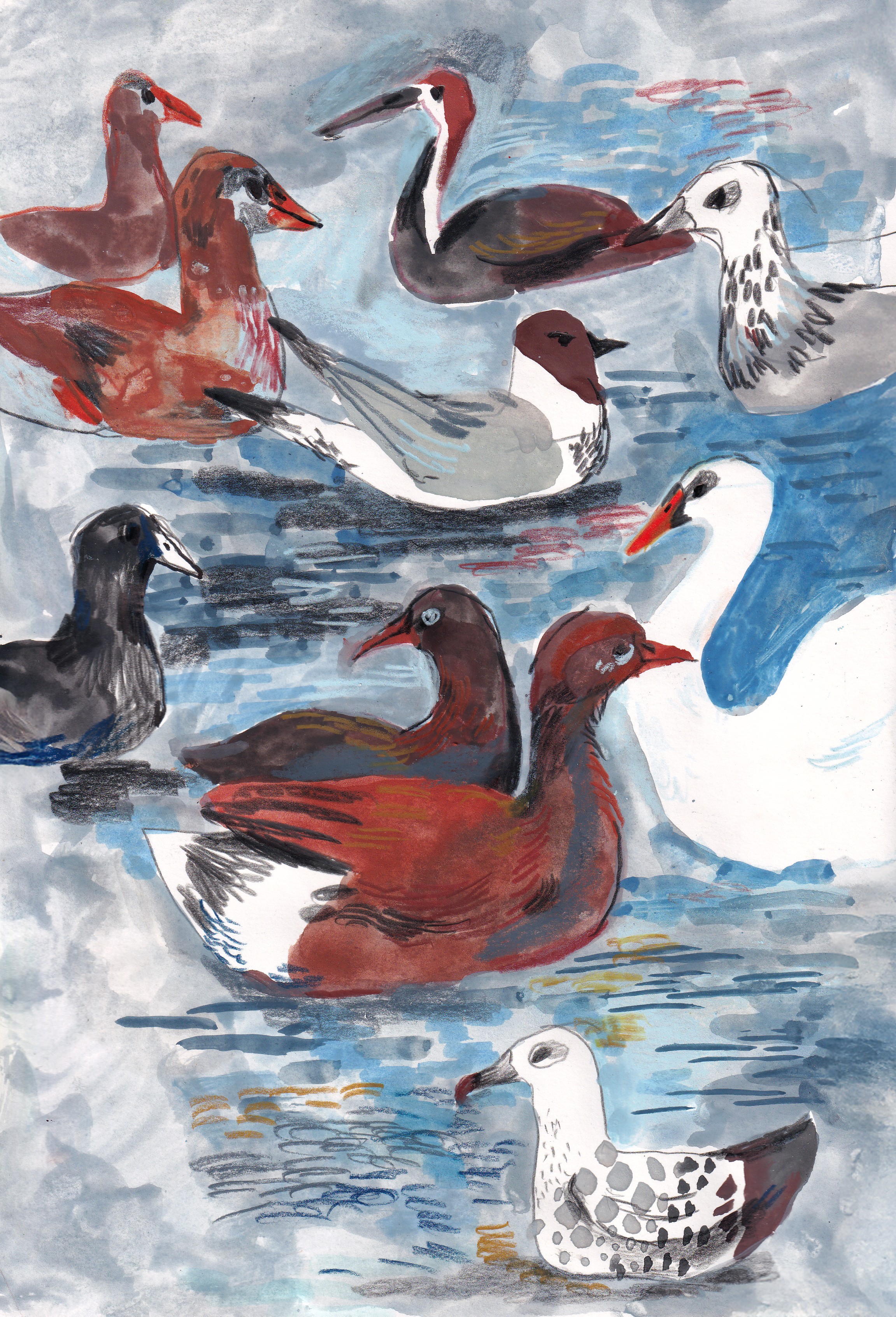 Birds