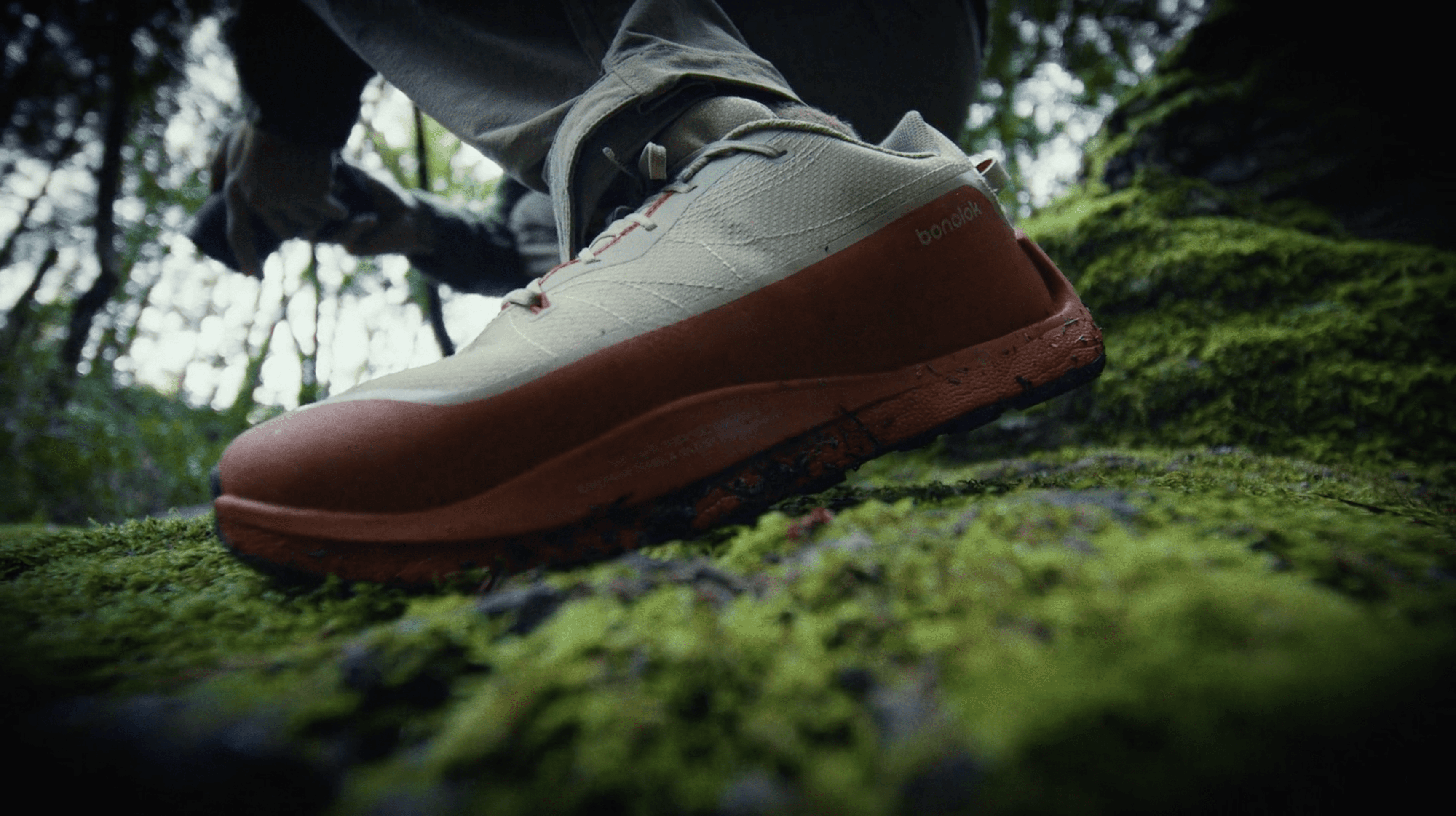 Kodak store with vintage photographs displayed