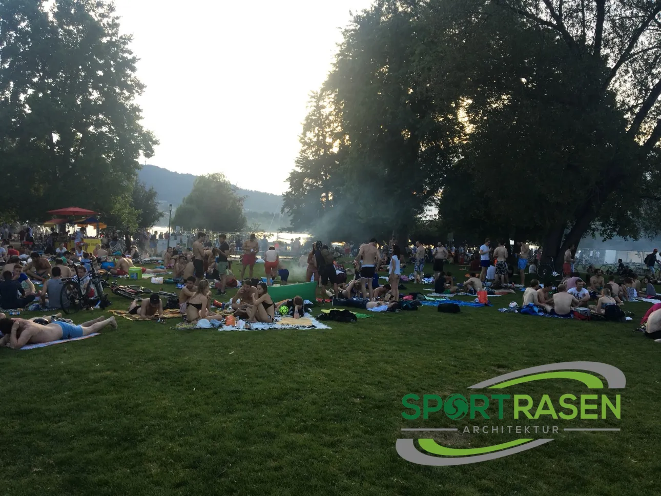 Nutzen von Rasenflächen